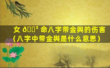 女 🌳 命八字带金舆的伤害（八字中带金舆是什么意思）